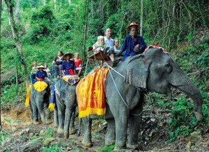 trekking4